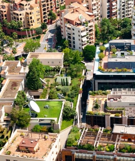 Zakładanie zielonych dachów. Moda czy coś więcej?